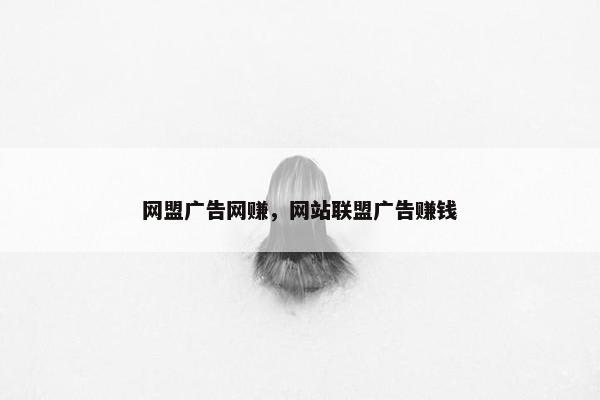 网盟广告网赚，网站联盟广告赚钱