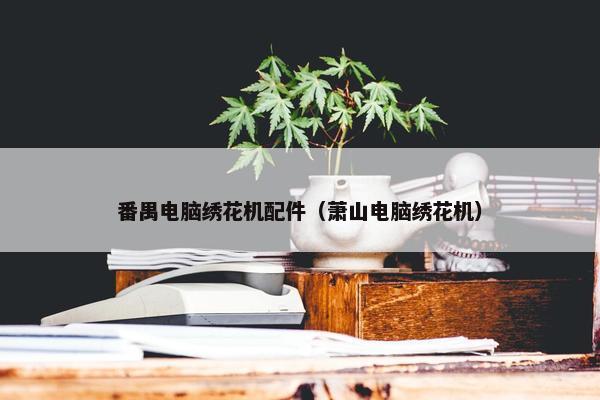 番禺电脑绣花机配件（萧山电脑绣花机）