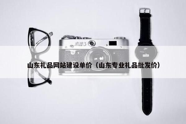 山东礼品网站建设单价（山东专业礼品批发价）
