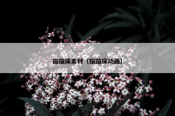 蹦蹦床素材（蹦蹦床动画）