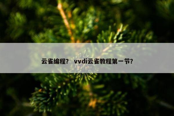 云雀编程？ vvdi云雀教程第一节？