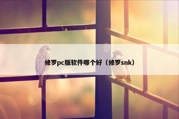 修罗pc版软件哪个好（修罗snk）