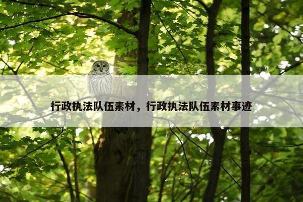 行政执法队伍素材，行政执法队伍素材事迹