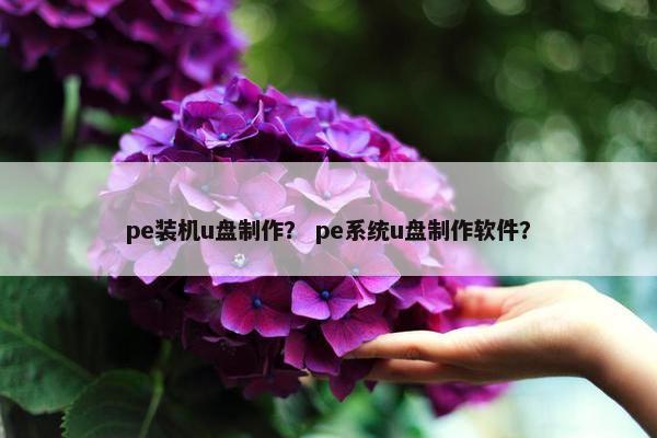 pe装机u盘制作？ pe系统u盘制作软件？