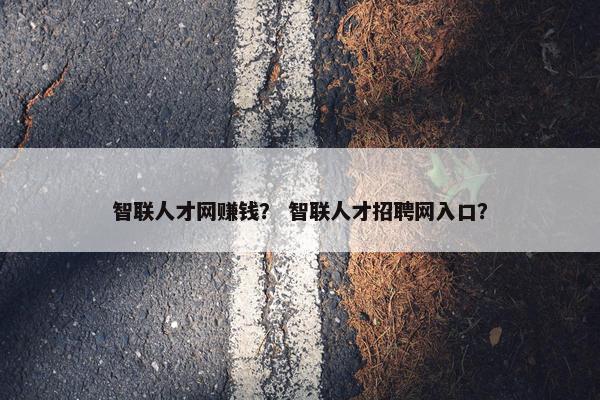 智联人才网赚钱？ 智联人才招聘网入口？