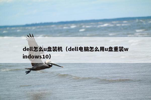 dell怎么u盘装机（dell电脑怎么用u盘重装windows10）