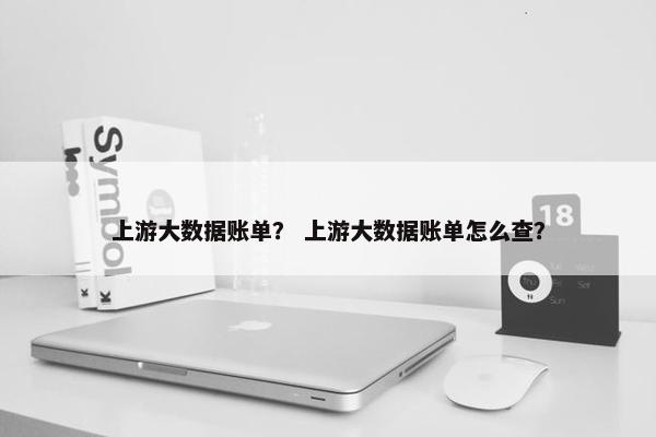 上游大数据账单？ 上游大数据账单怎么查？