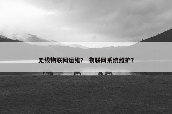 无线物联网运维？ 物联网系统维护？