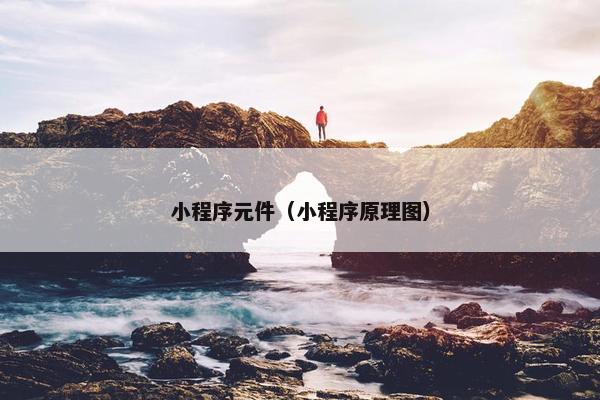 小程序元件（小程序原理图）
