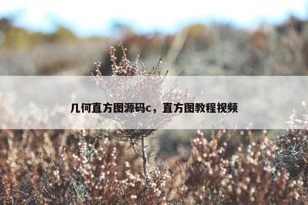 几何直方图源码c，直方图教程视频