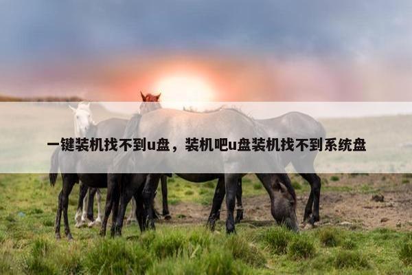 一键装机找不到u盘，装机吧u盘装机找不到系统盘