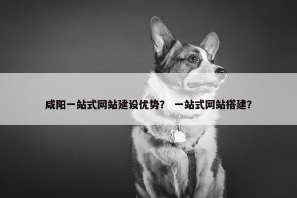 咸阳一站式网站建设优势？ 一站式网站搭建？