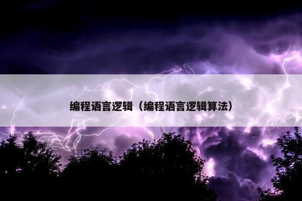 编程语言逻辑（编程语言逻辑算法）