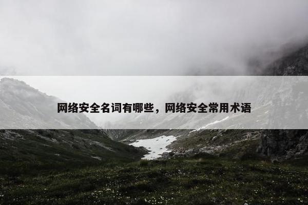 网络安全名词有哪些，网络安全常用术语