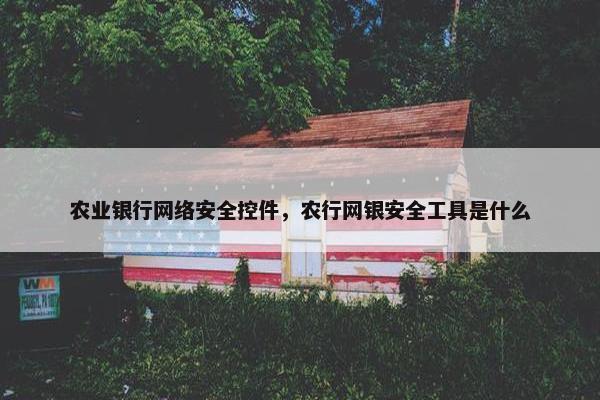 农业银行网络安全控件，农行网银安全工具是什么