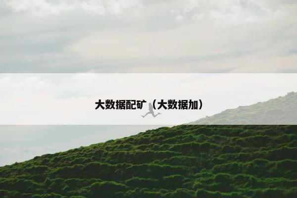 大数据配矿（大数据加）