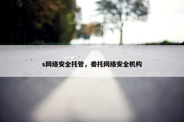 s网络安全托管，委托网络安全机构