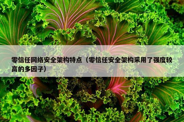 零信任网络安全架构特点（零信任安全架构采用了强度较高的多因子）