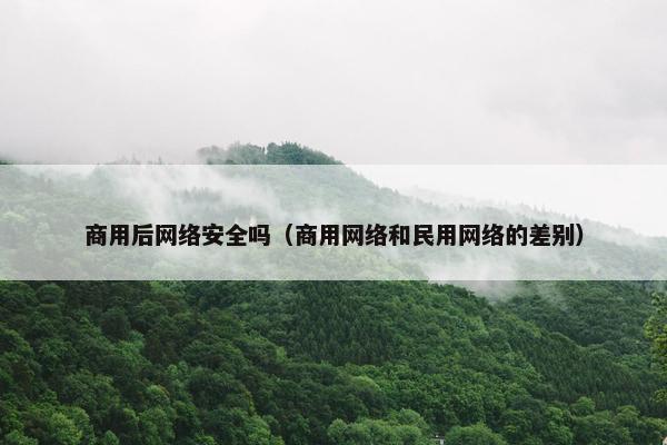 商用后网络安全吗（商用网络和民用网络的差别）
