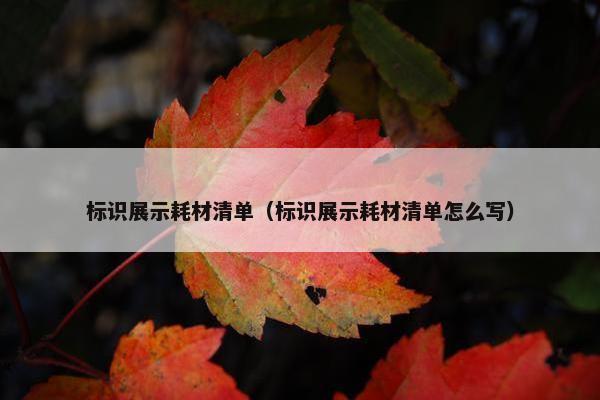 标识展示耗材清单（标识展示耗材清单怎么写）