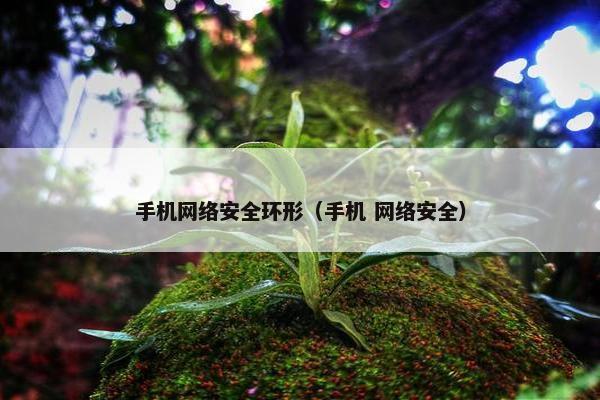 手机网络安全环形（手机 网络安全）