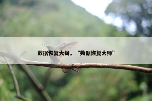 数据恢复大狮，“数据恢复大师”