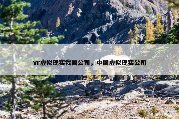 vr虚拟现实我国公司，中国虚拟现实公司