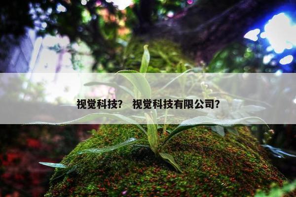 视觉科技？ 视觉科技有限公司？