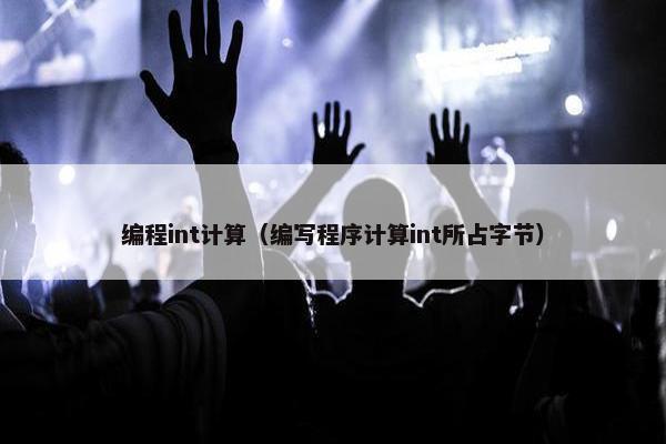 编程int计算（编写程序计算int所占字节）