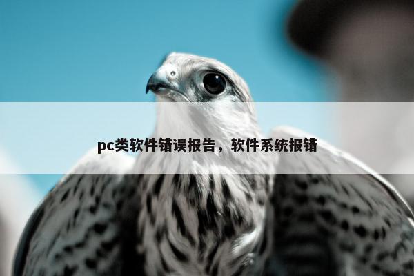 pc类软件错误报告，软件系统报错