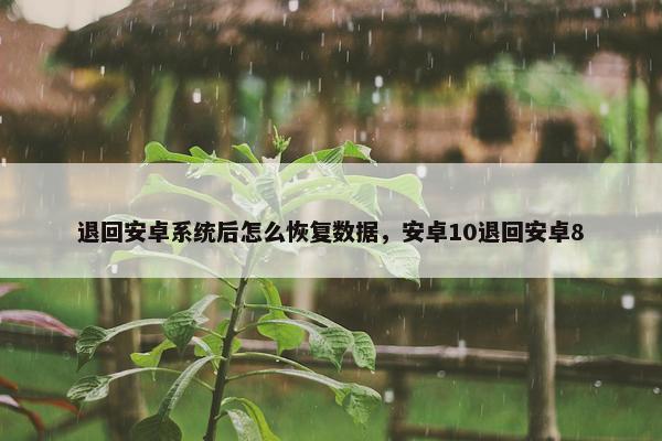 退回安卓系统后怎么恢复数据，安卓10退回安卓8