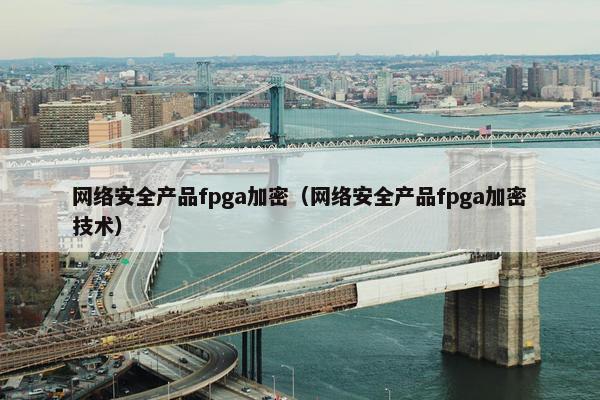 网络安全产品fpga加密（网络安全产品fpga加密技术）