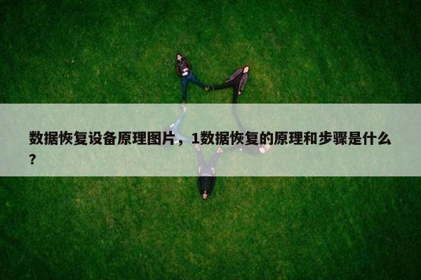 数据恢复设备原理图片，1数据恢复的原理和步骤是什么?