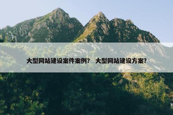 大型网站建设案件案例？ 大型网站建设方案？