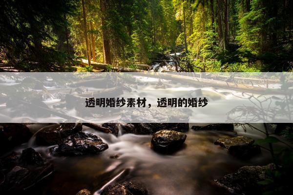 透明婚纱素材，透明的婚纱