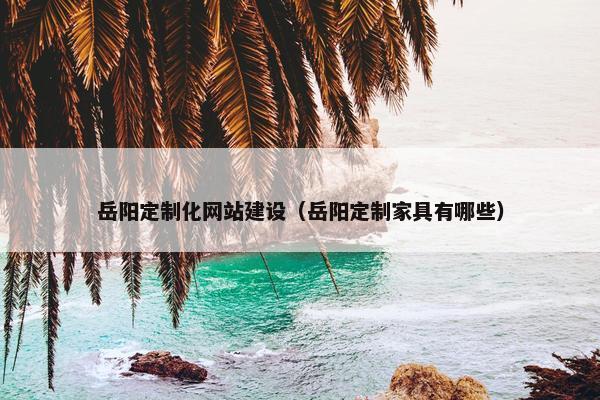 岳阳定制化网站建设（岳阳定制家具有哪些）