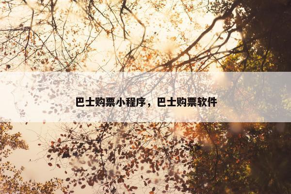 巴士购票小程序，巴士购票软件