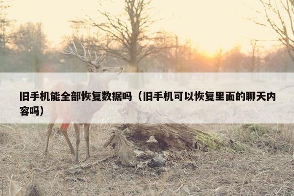 旧手机能全部恢复数据吗（旧手机可以恢复里面的聊天内容吗）