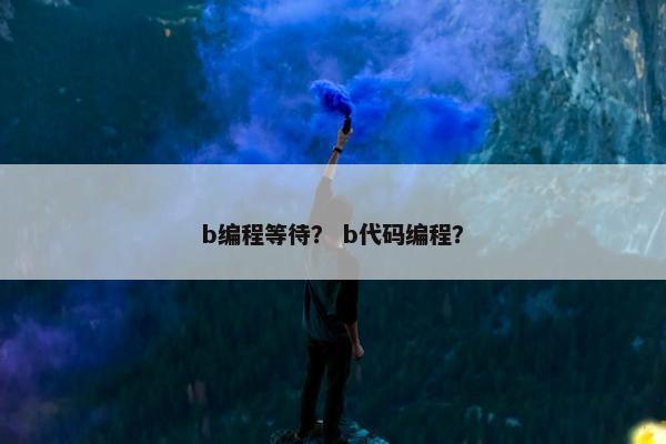 b编程等待？ b代码编程？