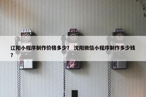 辽阳小程序制作价格多少？ 沈阳微信小程序制作多少钱？