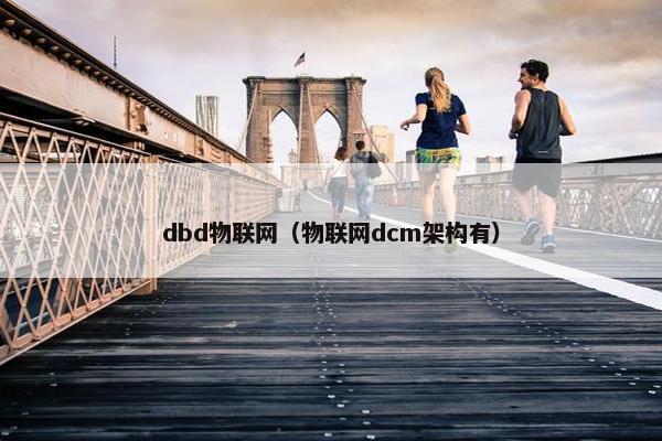 dbd物联网（物联网dcm架构有）