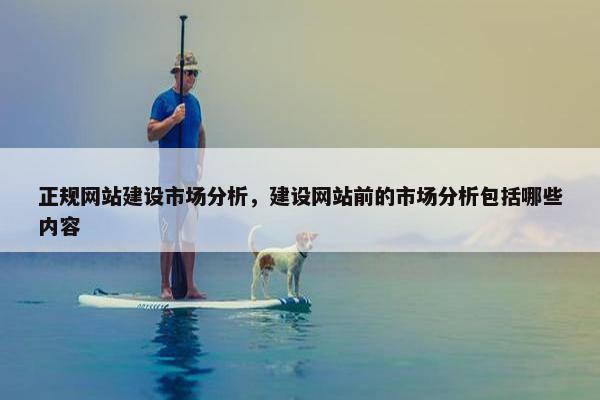 正规网站建设市场分析，建设网站前的市场分析包括哪些内容