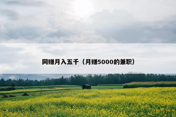 网赚月入五千（月赚5000的兼职）