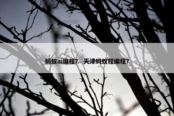 蚂蚁ai编程？ 天津蚂蚁程编程？