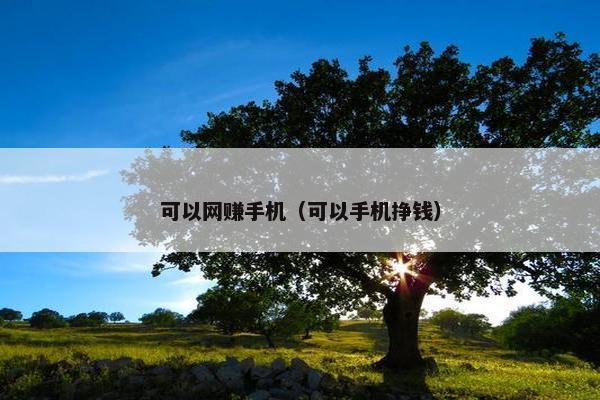 可以网赚手机（可以手机挣钱）