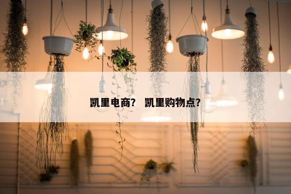 凯里电商？ 凯里购物点？