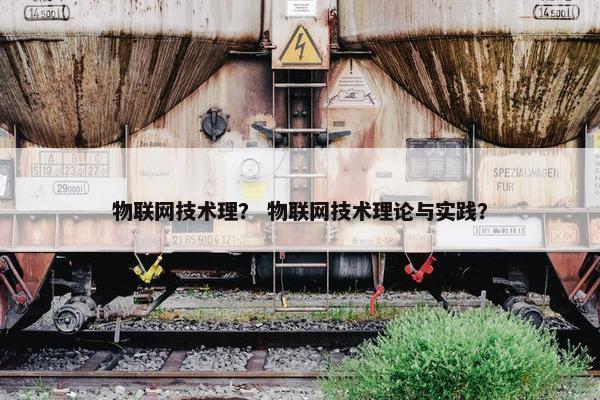物联网技术理？ 物联网技术理论与实践？