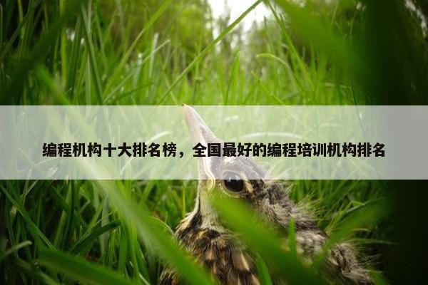编程机构十大排名榜，全国最好的编程培训机构排名
