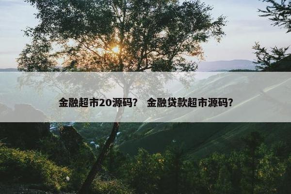 金融超市20源码？ 金融贷款超市源码？