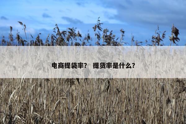 电商提袋率？ 提货率是什么？